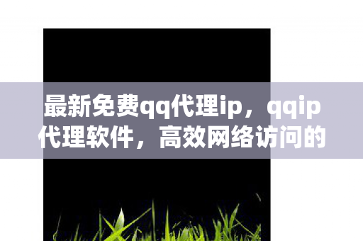 最新免费qq代理ip，qqip代理软件，高效网络访问的必备工具