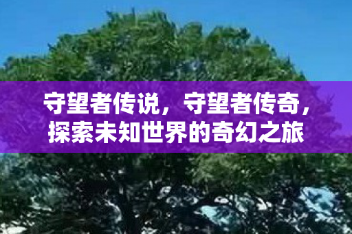 守望者传说，守望者传奇，探索未知世界的奇幻之旅