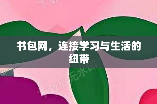 书包网，连接学习与生活的纽带