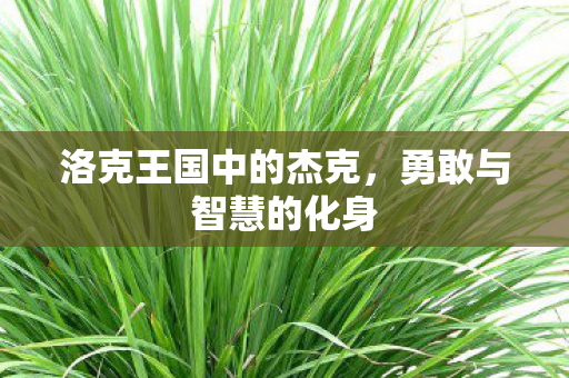 洛克王国中的杰克，勇敢与智慧的化身