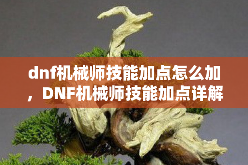 dnf机械师技能加点怎么加，DNF机械师技能加点详解，打造高效战斗机器