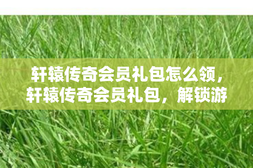 轩辕传奇会员礼包怎么领，轩辕传奇会员礼包，解锁游戏新世界的钥匙