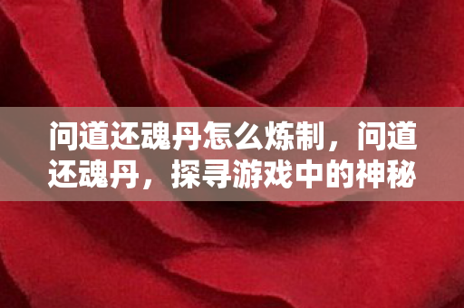 问道还魂丹怎么炼制，问道还魂丹，探寻游戏中的神秘存在