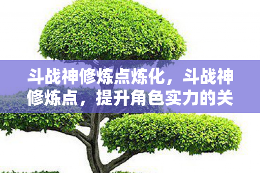 斗战神修炼点炼化，斗战神修炼点，提升角色实力的关键