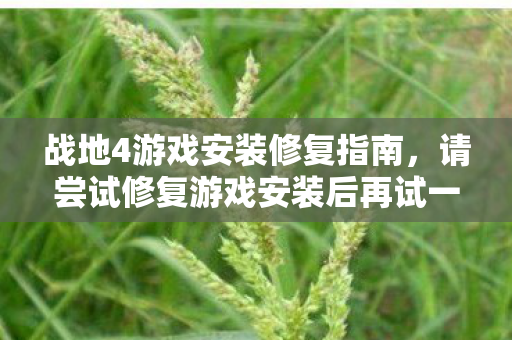 战地4游戏安装修复指南，请尝试修复游戏安装后再试一次