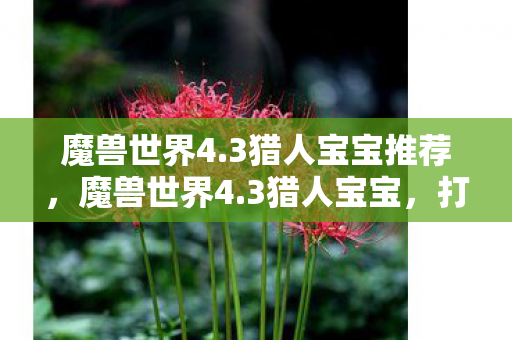 魔兽世界4.3猎人宝宝推荐，魔兽世界4.3猎人宝宝，打造你的专属战斗伙伴