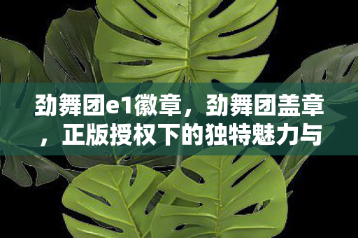 劲舞团e1徽章，劲舞团盖章，正版授权下的独特魅力与社区生态