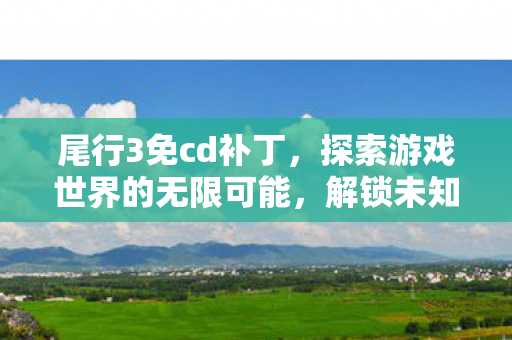 尾行3免cd补丁，探索游戏世界的无限可能，解锁未知与个性化体验的深度解析