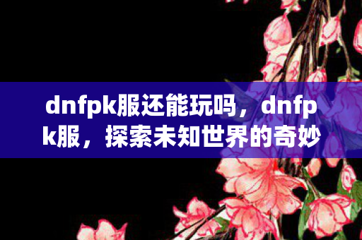 dnfpk服还能玩吗，dnfpk服，探索未知世界的奇妙之旅
