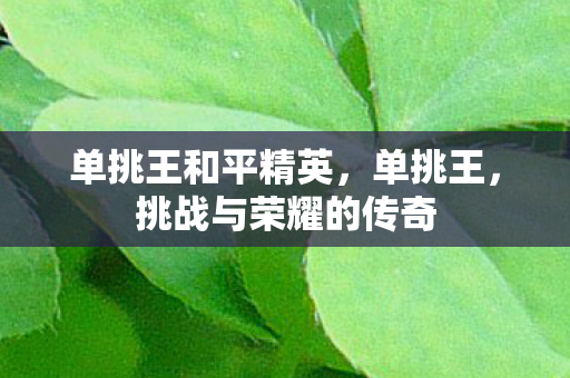 单挑王和平精英，单挑王，挑战与荣耀的传奇