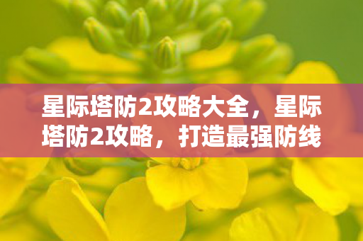 星际塔防2攻略大全，星际塔防2攻略，打造最强防线，赢取无尽荣耀