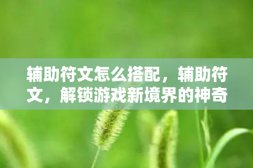 辅助符文怎么搭配，辅助符文，解锁游戏新境界的神奇钥匙