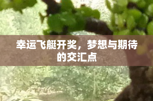 幸运飞艇开奖，梦想与期待的交汇点