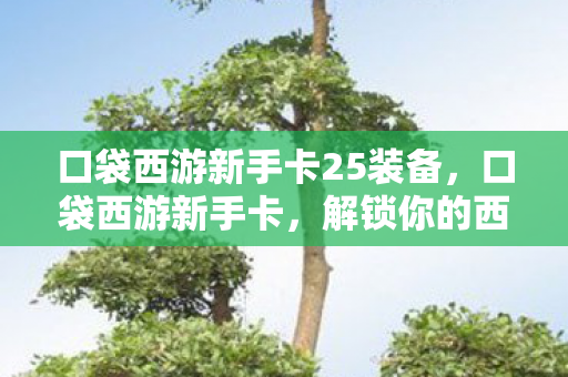 口袋西游新手卡25装备，口袋西游新手卡，解锁你的西游之旅