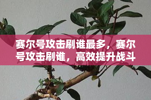 赛尔号攻击刷谁最多，赛尔号攻击刷谁，高效提升战斗力的策略指南