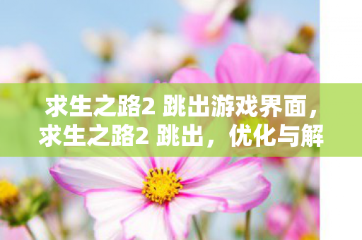 求生之路2 跳出游戏界面，求生之路2 跳出，优化与解决游戏崩溃的实战指南