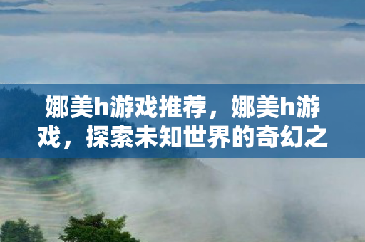 娜美h游戏推荐，娜美h游戏，探索未知世界的奇幻之旅