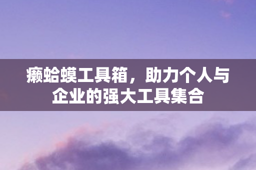 癞蛤蟆工具箱，助力个人与企业的强大工具集合