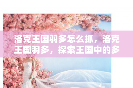 洛克王国羽多怎么抓，洛克王国羽多，探索王国中的多元体验