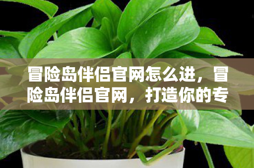 冒险岛伴侣官网怎么进，冒险岛伴侣官网，打造你的专属冒险之旅