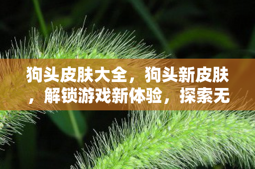 狗头皮肤大全，狗头新皮肤，解锁游戏新体验，探索无限可能