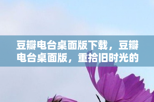 豆瓣电台桌面版下载，豆瓣电台桌面版，重拾旧时光的听觉盛宴