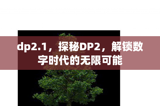 dp2.1，探秘DP2，解锁数字时代的无限可能