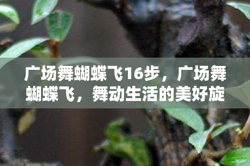 广场舞蝴蝶飞16步，广场舞蝴蝶飞，舞动生活的美好旋律