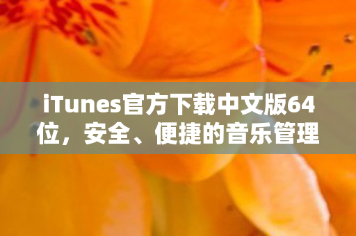 iTunes官方下载中文版64位，安全、便捷的音乐管理新体验