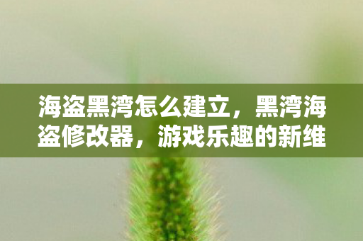海盗黑湾怎么建立，黑湾海盗修改器，游戏乐趣的新维度