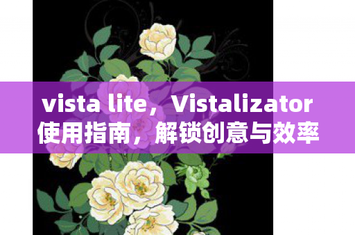 vista lite，Vistalizator使用指南，解锁创意与效率的视觉工具