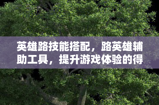 英雄路技能搭配，路英雄辅助工具，提升游戏体验的得力助手