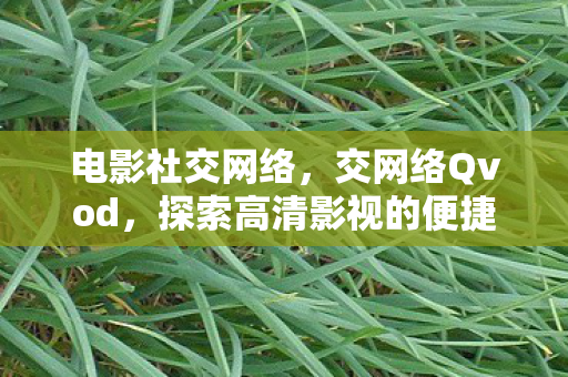 电影社交网络，交网络Qvod，探索高清影视的便捷之道