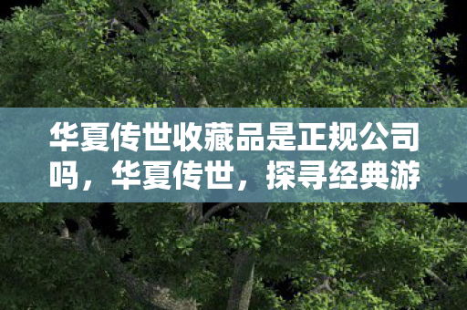 华夏传世收藏品是正规公司吗，华夏传世，探寻经典游戏的魅力与传承