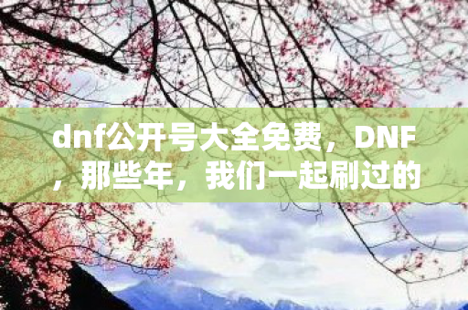 dnf公开号大全免费，DNF，那些年，我们一起刷过的副本