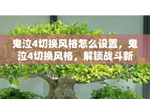 鬼泣4切换风格怎么设置，鬼泣4切换风格，解锁战斗新境界