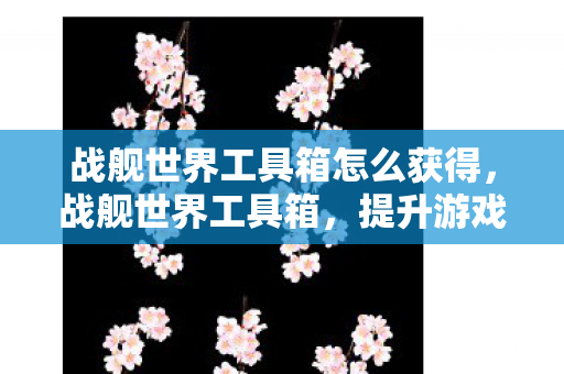 战舰世界工具箱怎么获得，战舰世界工具箱，提升游戏效率与体验的神器