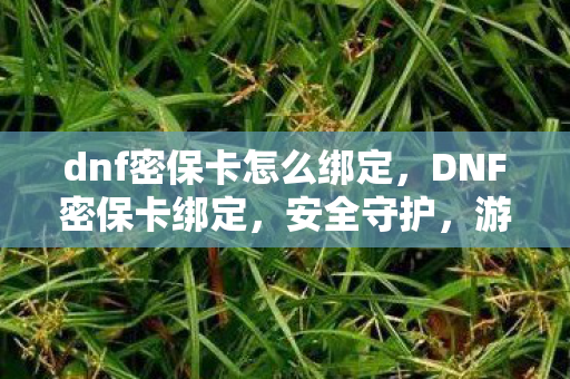 dnf密保卡怎么绑定，DNF密保卡绑定，安全守护，游戏无忧