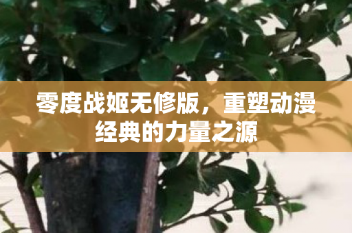 零度战姬无修版，重塑动漫经典的力量之源