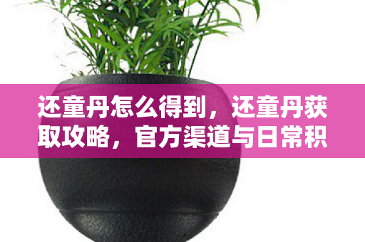 还童丹怎么得到，还童丹获取攻略，官方渠道与日常积累