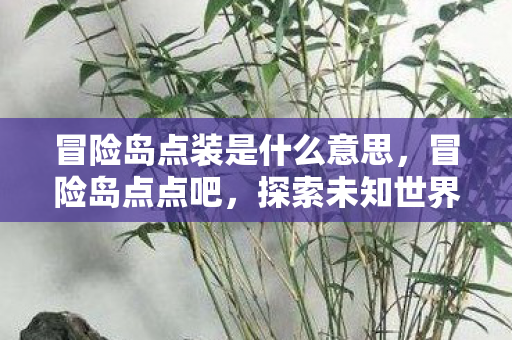 冒险岛点装是什么意思，冒险岛点点吧，探索未知世界的奇妙之旅