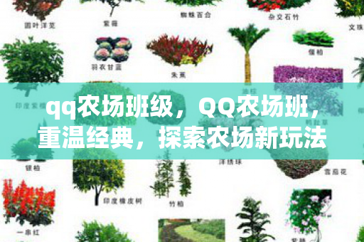qq农场班级，QQ农场班，重温经典，探索农场新玩法