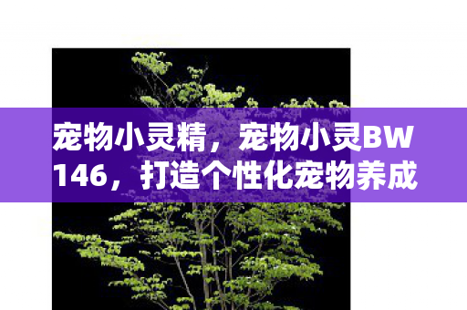 宠物小灵精，宠物小灵BW146，打造个性化宠物养成体验