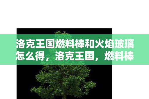 洛克王国燃料棒和火焰玻璃怎么得，洛克王国，燃料棒与火焰玻璃的神秘力量