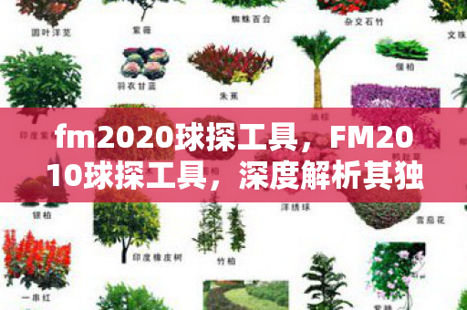 fm2020球探工具，FM2010球探工具，深度解析其独特魅力与实用价值
