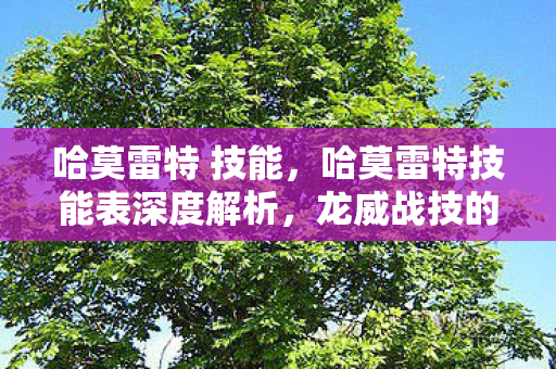 哈莫雷特 技能，哈莫雷特技能表深度解析，龙威战技的奥秘