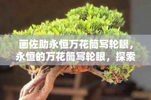 画佐助永恒万花筒写轮眼，永恒的万花筒写轮眼，探索游戏世界的无限可能