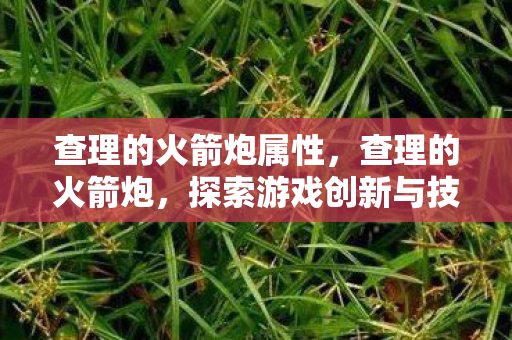 查理的火箭炮属性，查理的火箭炮，探索游戏创新与技术变革的边界