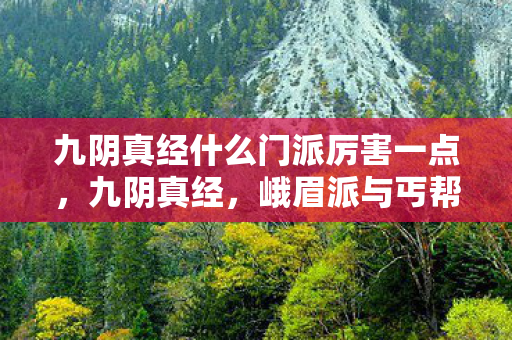 九阴真经什么门派厉害一点，九阴真经，峨眉派与丐帮的绝世风采