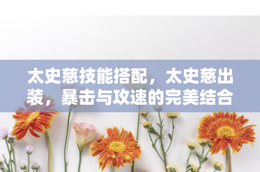 太史慈技能搭配，太史慈出装，暴击与攻速的完美结合